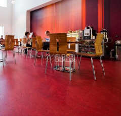 Forbo Marmoleum Decibel on Order 312735 Bleeckerstreet фото 2 | FLOORDEALER